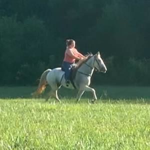 Meet your Posher, Nikki